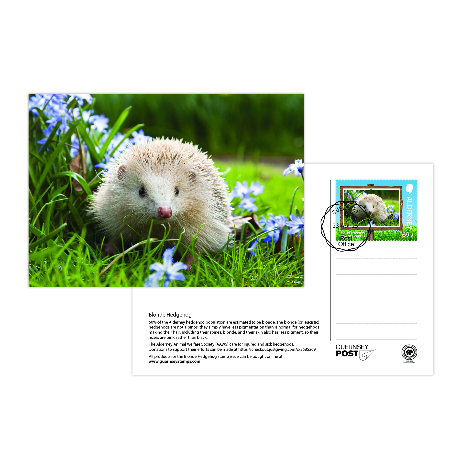 FDI Postcard